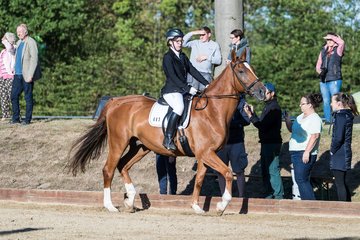 Bild 110 - Pony Akademie Turnier